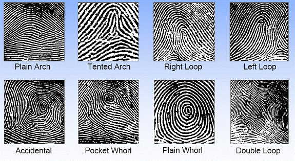 biometric fingeprint patterns